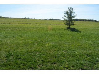 Property photo 16 - 80 +/- Acres Offered in 6 Tracts - Spectacular Farm & Home